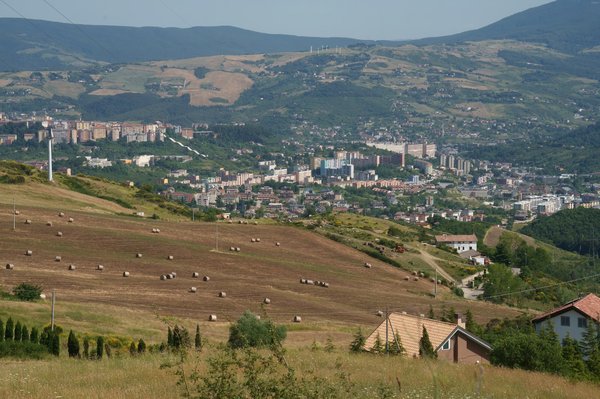 Quali sono i passaggi per creare un muro vegetale sul balcone di un appartamento urbano?