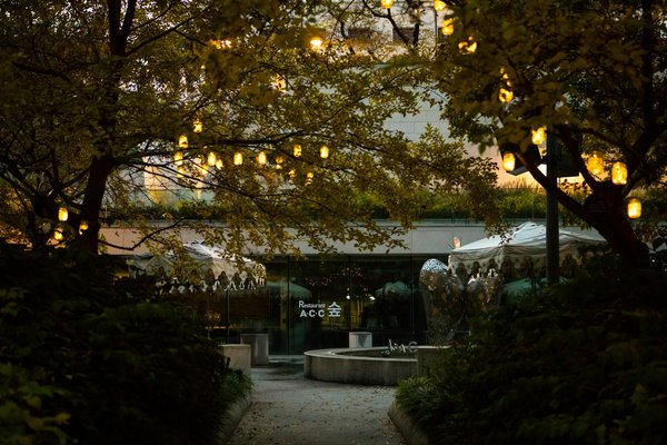 Come scegliere la giusta illuminazione per un percorso di accesso in giardino?